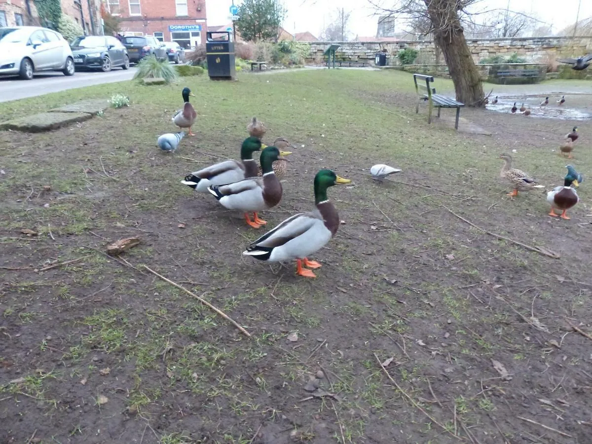 Duck Cottage Thirsk United Kingdom