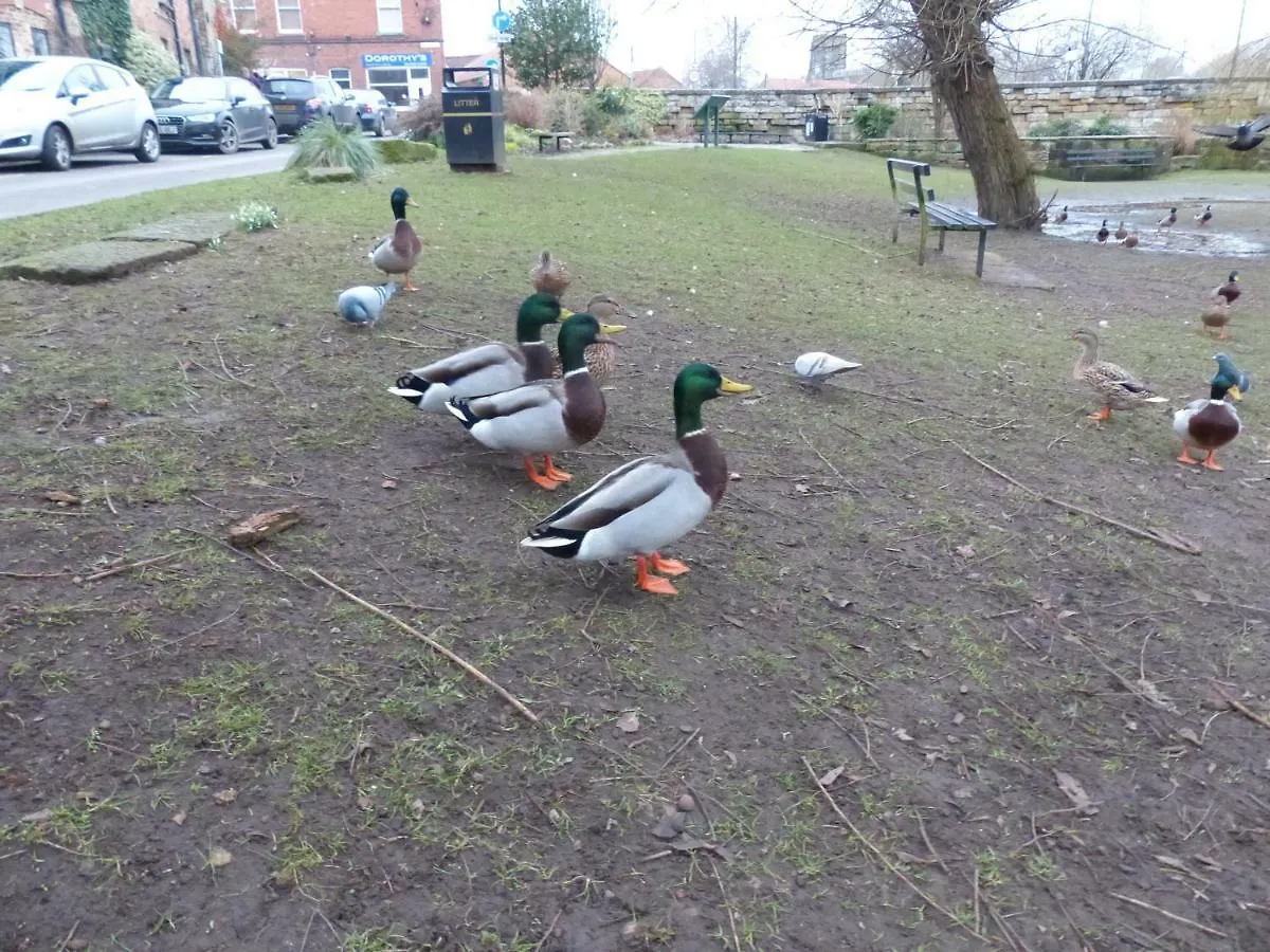 Duck Cottage Thirsk Storbritannien